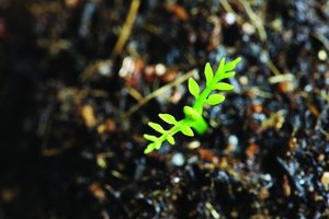 技术核心概念详解